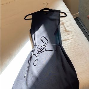 Aritzia Babaton Isaac dress